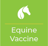 /equine Vaccine Form