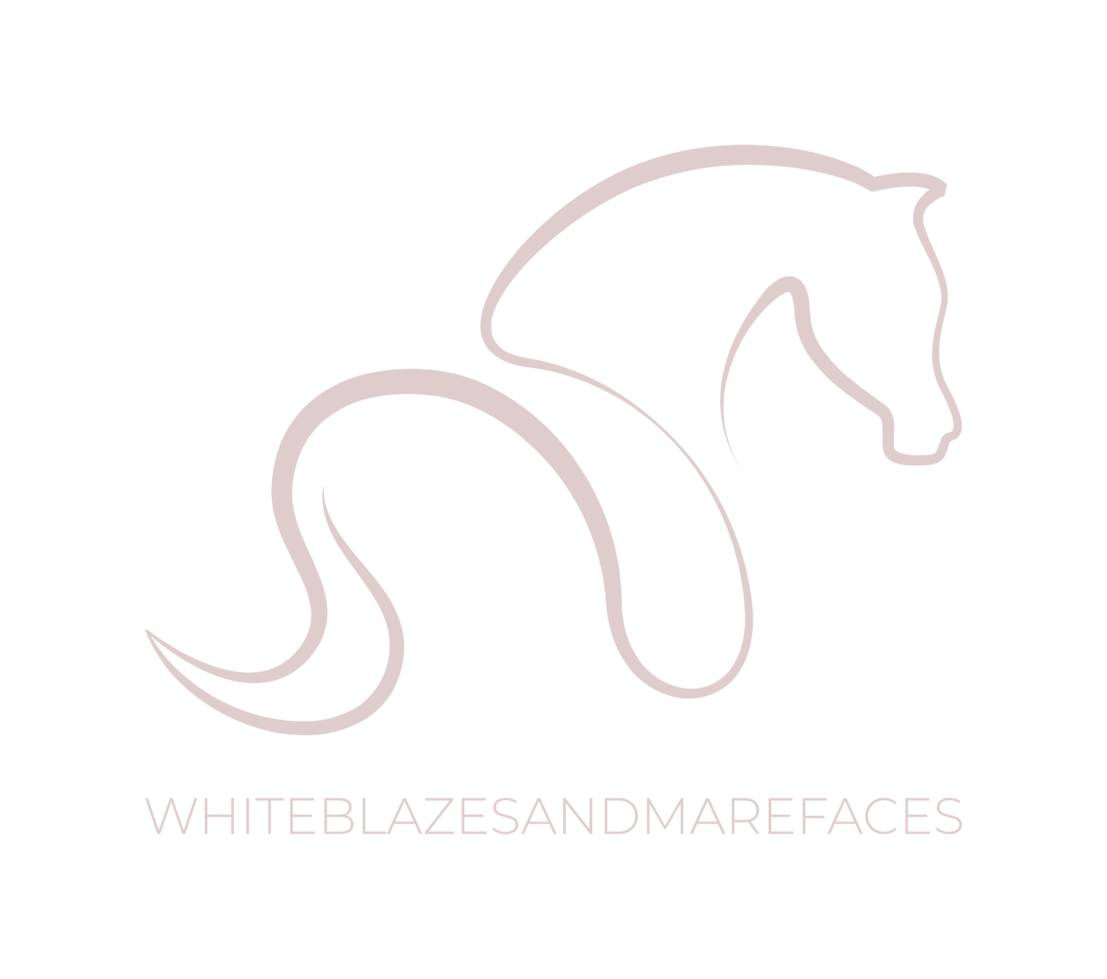 Whiteblazes logo