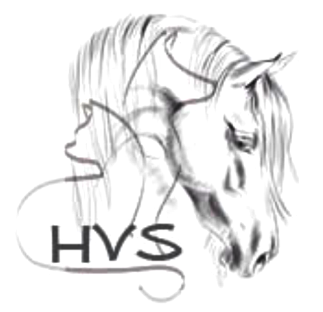 logo hvs